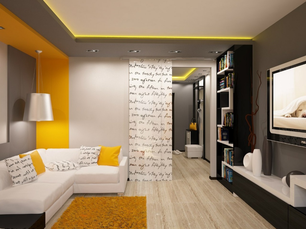 Вариант дизайна однокомнатной квартиры, в которой пространство между комнатой и прихожей отделено занавеской