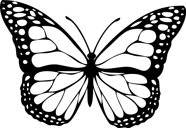 шаблон бабочки