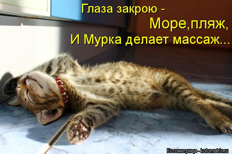 kotomatritsa_XC