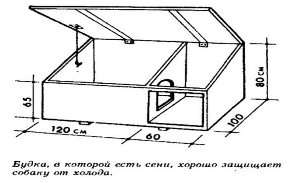 Особенно это актуально. Если вы решили сделать конуру с предбанником (сенями), которые создают для собаки дополнительную защиту от холода.