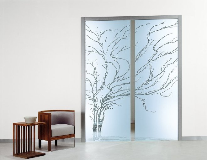 Дизайн дверей со стеклом