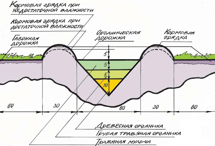 Чертеж органической грядки по методу Розума