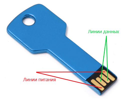 Линии питания и данных USB.