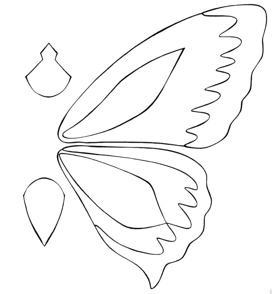 Большие бабочки из бумаги для оформления зала: шаблоны, фото