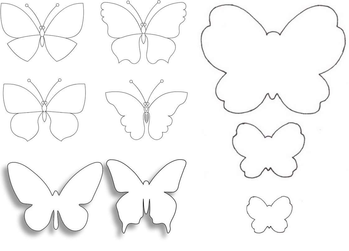 Как сделать бабочку из цветной бумаги: шаблоны, фото