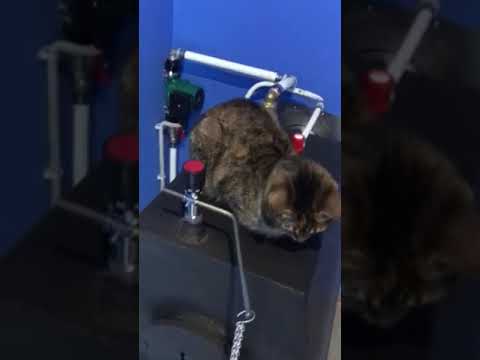 Отзыв Котел Гермес 8кВт Пермский край