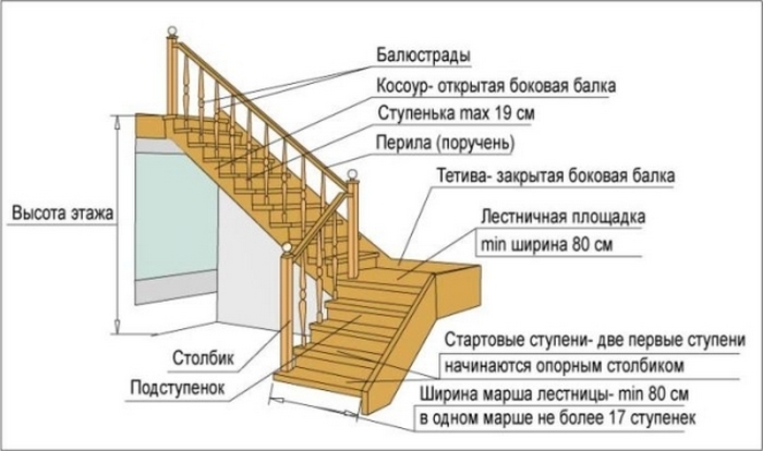 Основными элементами лестницы являются ступеньки и поручни деревянные лестницы в частном доме фото