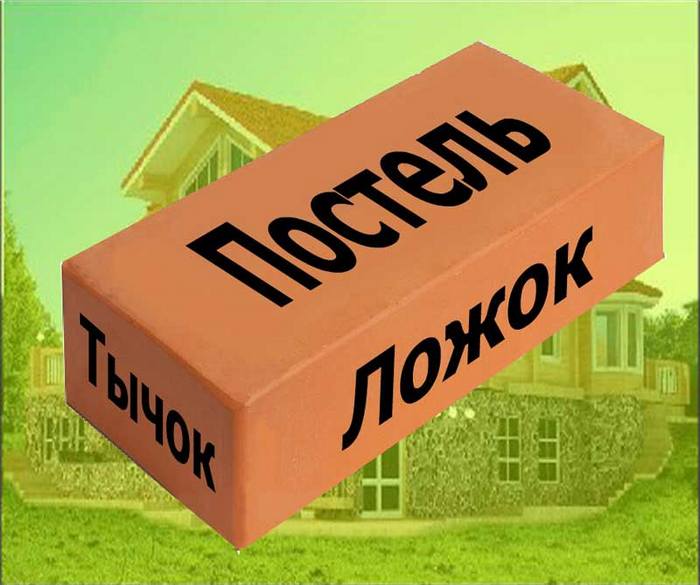 ΠΠΎΠ»ΡΡΠ°Ρ Π³ΡΠ°Π½Ρ Π±ΡΡΡΠΊΠ° Π½Π°Π·ΡΠ²Π°Π΅ΡΡΡ ΠΏΠ°ΡΡΠ΅Π»Ρ, ΡΡΠ΅Π΄Π½ΡΡ Π±ΠΎΠΊΠΎΠ²Π°Ρ β Π»ΠΎΠΆΠΎΠΊ, ΡΠ°ΠΌΠ°Ρ ΠΌΠ°Π»Π΅Π½ΡΠΊΠ°Ρ β ΡΡΡΠΎΠΊ ΠΊΠ»Π°Π΄ΠΊΠ° ΠΊΠΈΡΠΏΠΈΡΠ° ΡΠ²ΠΎΠΈΠΌΠΈ ΡΡΠΊΠ°ΠΌΠΈ