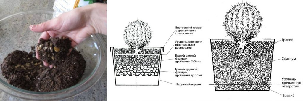 Субстрат для суккулентов