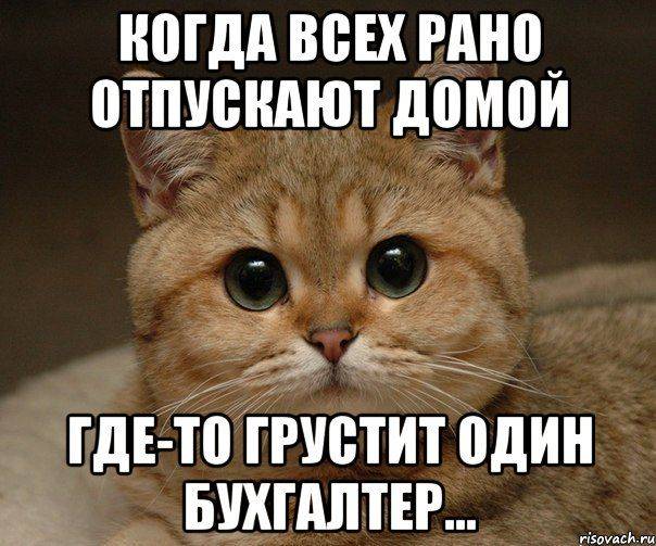 21 ПРикольные картинки про бухгалтера