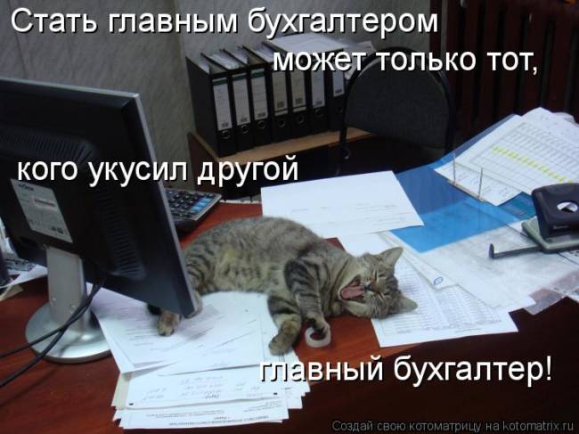 Картинки прикольные про бухгалтеров с надписью 