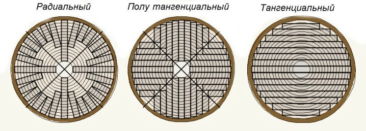 Виды паркета в интерьере 