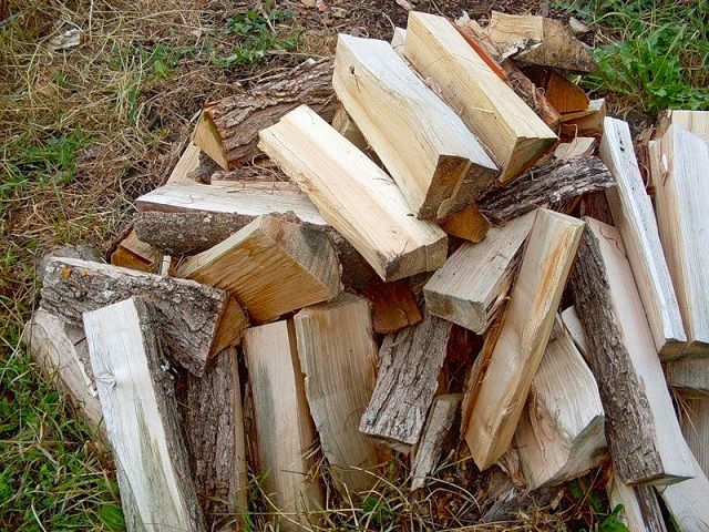 Липовые дрова обладают хорошим оздоравливающим эффектом
